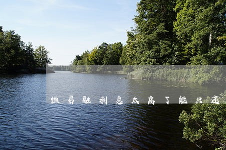 恒易融利息太高了能只还本金吗 恒易融利息太高了能只还本金吗