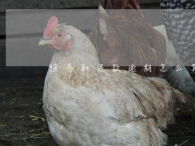 恒易融还款逾期怎么算