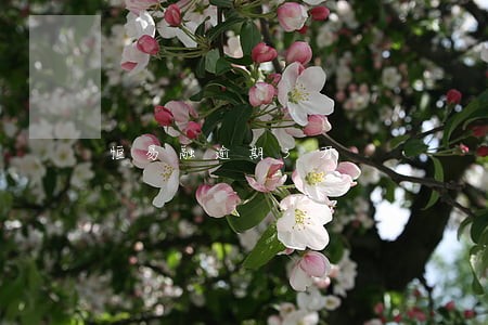 恒易融逾期3万 恒易融逾期3万