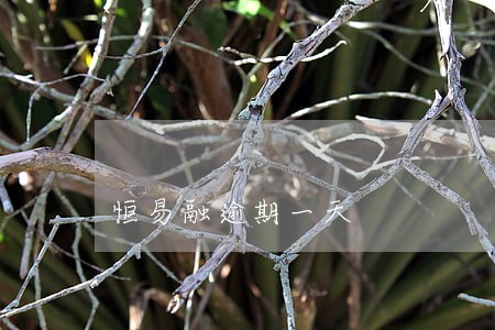 恒易融逾期一天 恒易融逾期一天