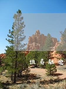 恒易融逾期不还强制上岸 恒易融逾期不还强制上岸