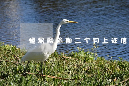 恒易融逾期二个月上征信吗 恒易融逾期二个月上征信吗