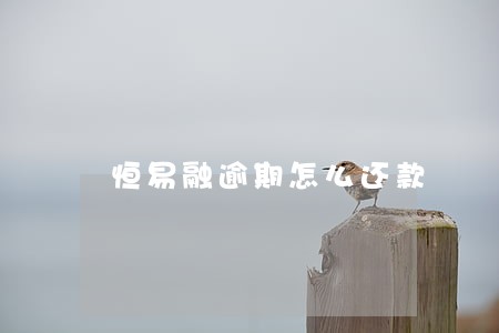 恒易融逾期怎么还款