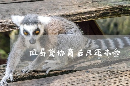 恒易贷协商后只还本金 恒易贷协商后只还本金