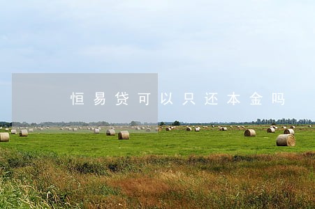 恒易贷可以只还本金吗 恒易贷可以只还本金吗