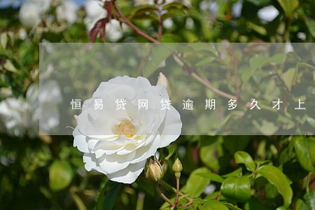 恒易贷网贷逾期多久才上征信 恒易贷网贷逾期多久才上征信