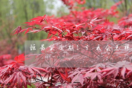 恒易贷逾期15天会怎样 恒易贷逾期15天会怎样