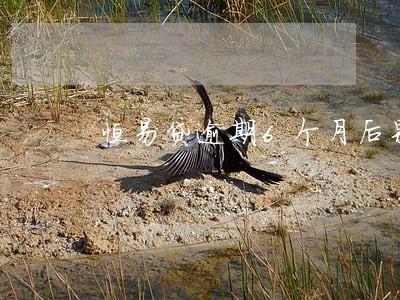 恒易贷逾期6个月后果 恒易贷逾期6个月后果