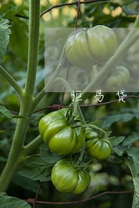 恒易贷逾期一天会影响信用吗 恒易贷逾期一天会影响信用吗