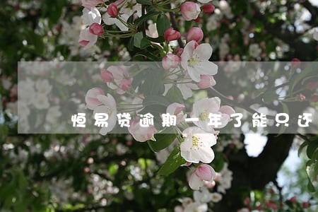 恒易贷逾期一年了能只还本金吗 恒易贷逾期一年了能只还本金吗