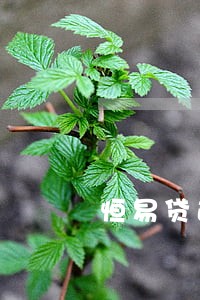 恒易贷逾期了2年有事没事 恒易贷逾期了2年有事没事