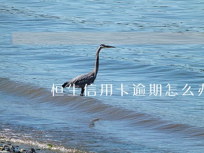 恒生信用卡逾期怎么办 恒生信用卡逾期怎么办