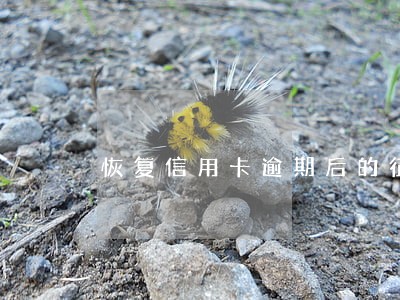 恢复信用卡逾期后的征兆 恢复信用卡逾期后的征兆