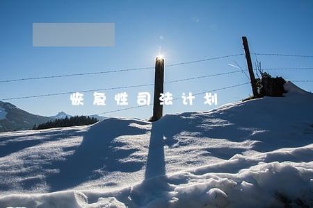 恢复性司法计划 恢复性司法计划