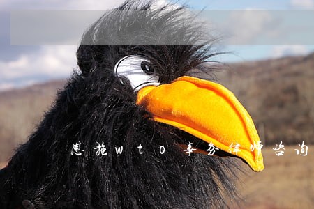 恩施wto事务律师咨询电话 恩施wto事务律师咨询电话