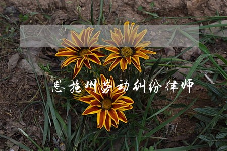 恩施州劳动纠纷律师 恩施州劳动纠纷律师