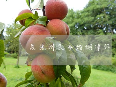恩施州民事婚姻律师 恩施州民事婚姻律师