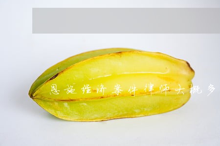 恩施经济案件律师大概多少钱 恩施经济案件律师大概多少钱