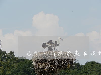 恩阳区婚姻家庭在线律师 恩阳区婚姻家庭在线律师