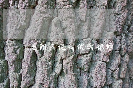 恩阳区说我试试律师 恩阳区说我试试律师