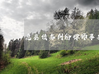 息县债务纠纷律师事务所 息县债务纠纷律师事务所