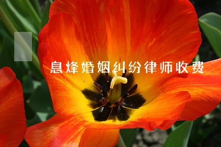 息烽婚姻纠纷律师收费 息烽婚姻纠纷律师收费
