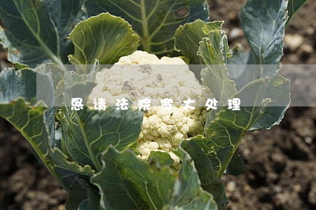 恳请法院宽大处理 恳请法院宽大处理