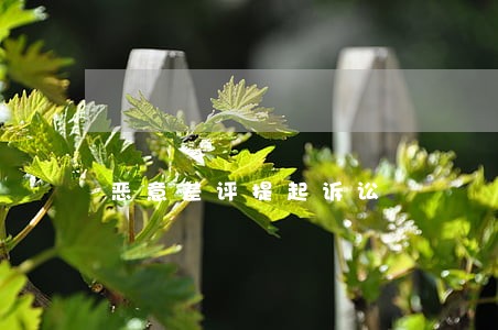 恶意差评提起诉讼