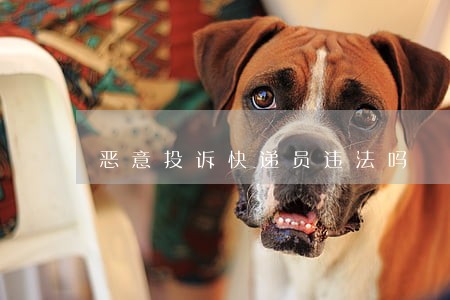 恶意投诉快递员违法吗 恶意投诉快递员违法吗