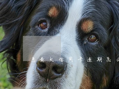 恶意欠信用卡逾期怎么办 恶意欠信用卡逾期怎么办