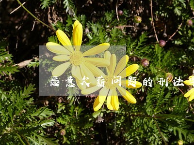 恶意欠薪问题的刑法学解读 恶意欠薪问题的刑法学解读