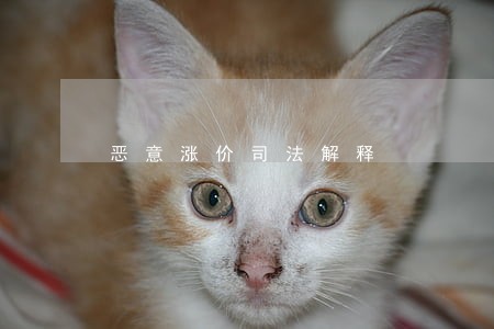 恶意涨价司法解释 恶意涨价司法解释