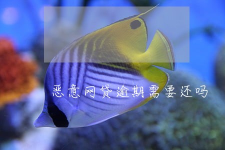 恶意网贷逾期需要还吗 恶意网贷逾期需要还吗