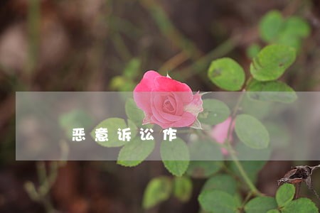 恶意诉讼作