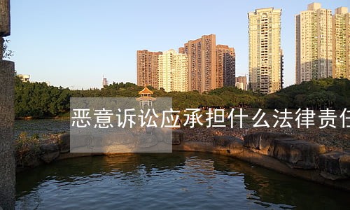 恶意诉讼应承担什么法律责任
