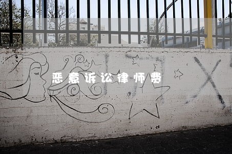 恶意诉讼律师费 恶意诉讼律师费
