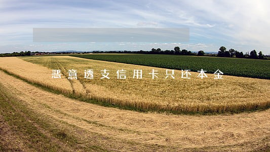 恶意透支信用卡只还本金 恶意透支信用卡只还本金