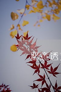 恶意透支逾期4个月 恶意透支逾期4个月