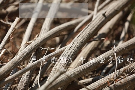 恶意逾期5年后会变白吗 恶意逾期5年后会变白吗