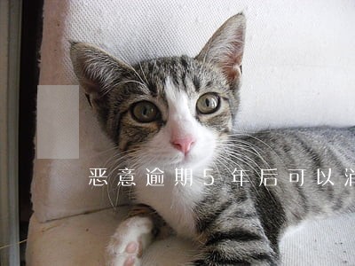 恶意逾期5年后可以消除吗 恶意逾期5年后可以消除吗