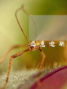 恶意逾期90天指的是累加吗 恶意逾期90天指的是累加吗