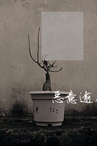 恶意逾期什么后果 恶意逾期什么后果