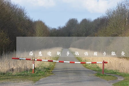 恶意逾期多张信用卡能查到吗 恶意逾期多张信用卡能查到吗