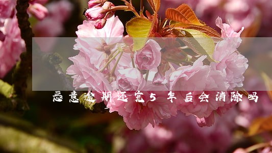恶意逾期还完5年后会消除吗 恶意逾期还完5年后会消除吗