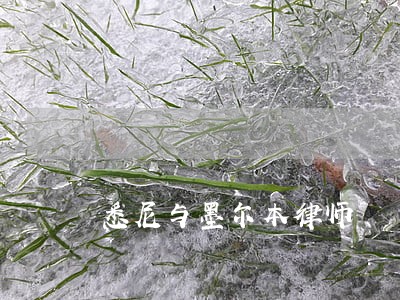 悉尼与墨尔本律师 悉尼与墨尔本律师
