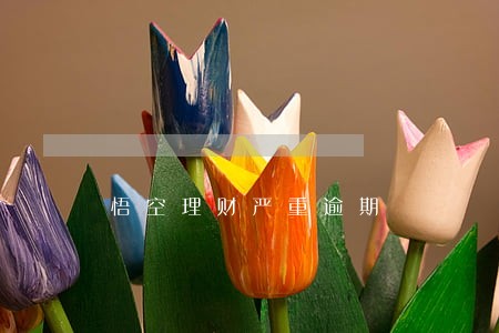 悟空理财严重逾期
