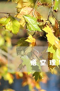 悟空理财什么时候逾期的 悟空理财什么时候逾期的