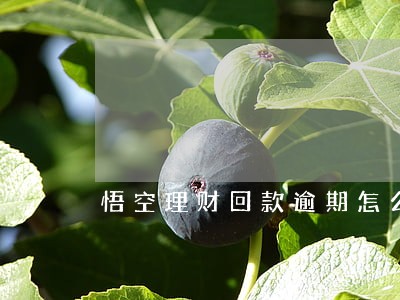 悟空理财回款逾期怎么办 悟空理财回款逾期怎么办