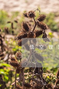 悟空理财回款逾期怎么报案 悟空理财回款逾期怎么报案
