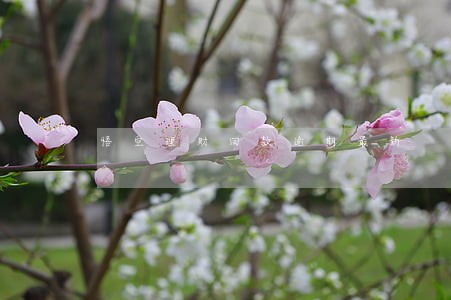 悟空理财回款逾期最新 悟空理财回款逾期最新